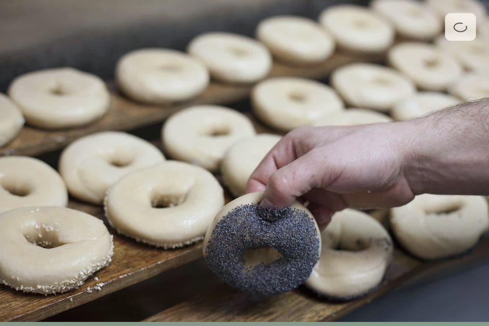 A baker's hand holding a poppy-seed bagel above boards of dough rings